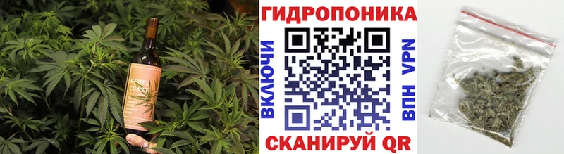 Купить закладки  Пестово  Cannafood конопля 