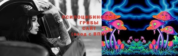 дмт Лагань