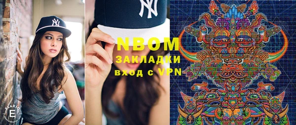 индика Лабытнанги
